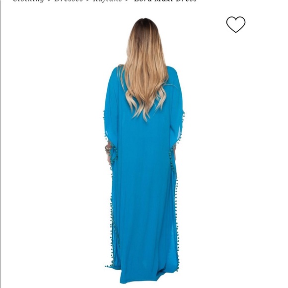 Brand new Zora Maxi Dress - Picture 3 of 4